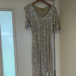 Size small sequence maxi dress